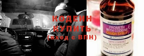 шишки Мегион