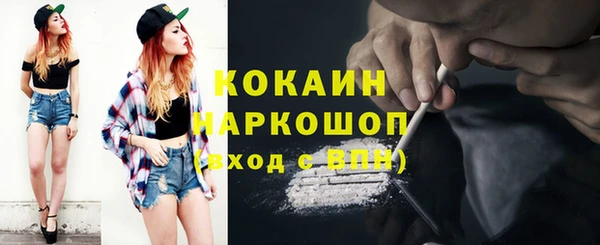 шишки Мегион