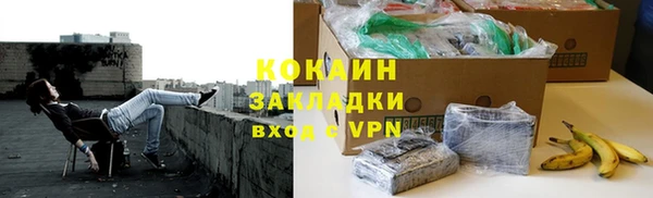 шишки Мегион