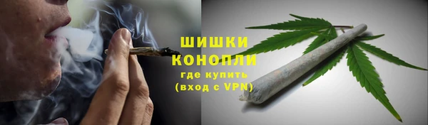 шишки Мегион
