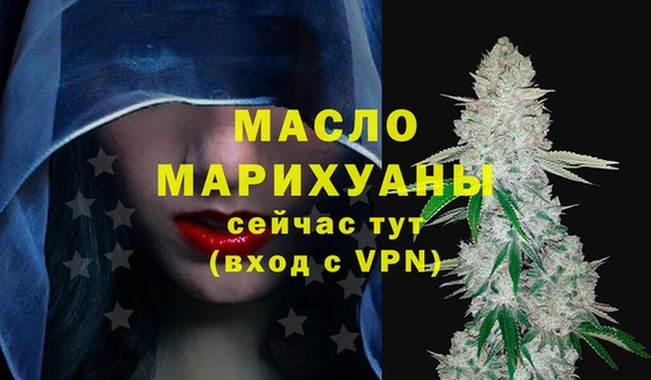 шишки Мегион