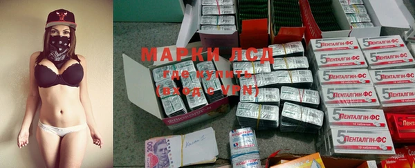 шишки Мегион