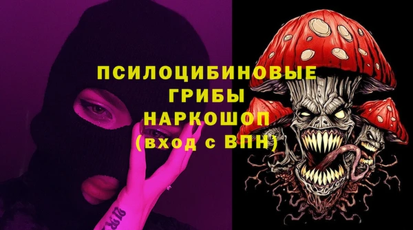 шишки Мегион