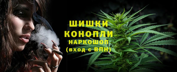 шишки Мегион
